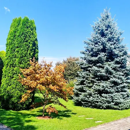 Apartamento Ad Radenci