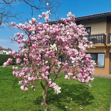 Ad Appartement