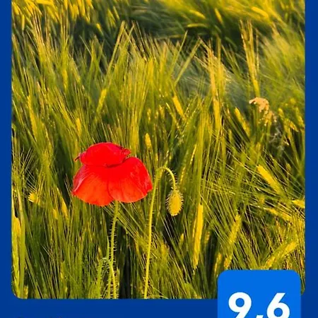 Ad * Radenci
