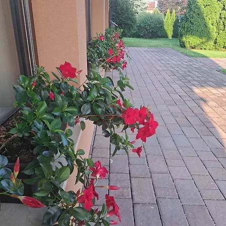 Apartment Ad