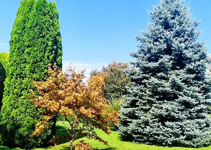 アパート Ad ラデンツィ